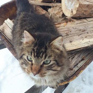 Meet your Posher, Grace